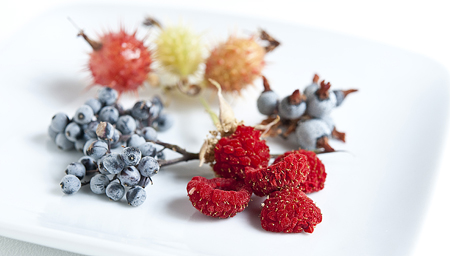 Source: http://honest-food.net/2010/08/31/berries-of-the-sierra/